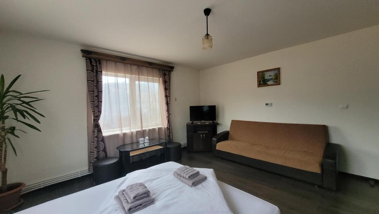Apartament Tiatim Apartment Vatra Dornei Exterior photo